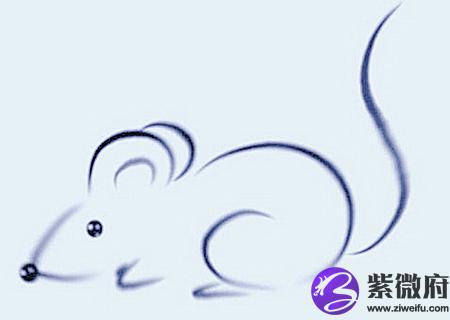 属鼠人起名字的宜忌