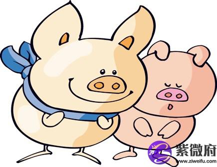 属猪戴什么饰品旺财