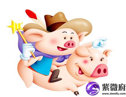 属猪穿什么颜色衣服好