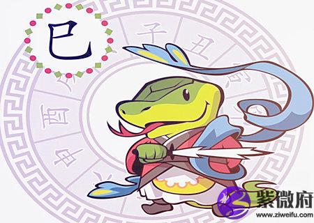 生肖蛇适合养什么宠物