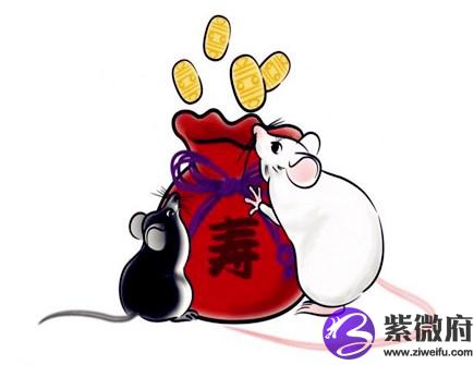 属鼠戴什么饰品旺财