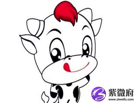 属牛戴什么饰品旺财