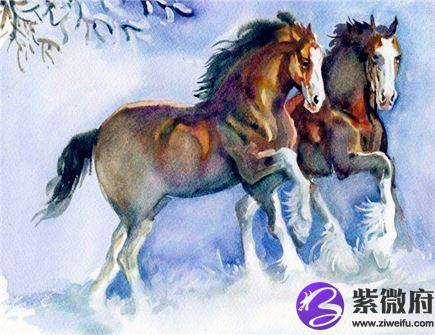 属马戴什么饰品旺财