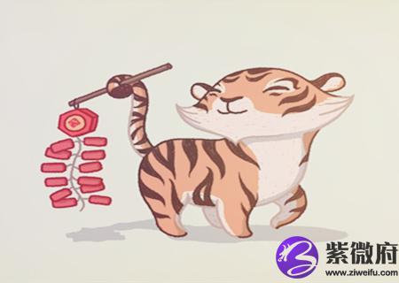 生肖虎适合养什么宠物