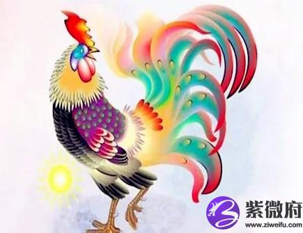 属鸡穿什么颜色衣服好