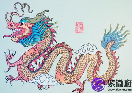 生肖龙适合养什么宠物