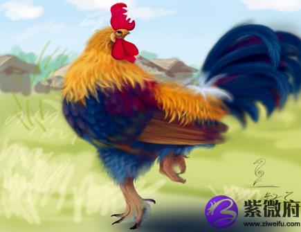 属鸡人本命年需要注意什么