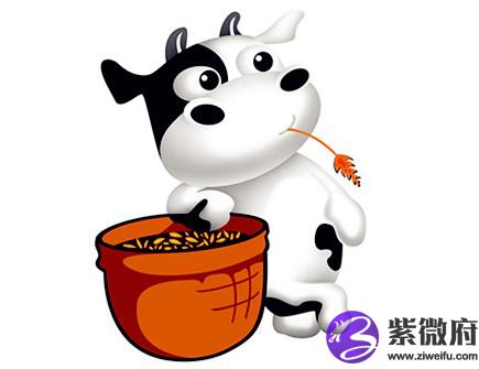 属牛穿什么颜色衣服好