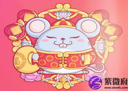 生肖鼠适合养什么宠物