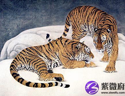 属虎人本命年需要注意什么