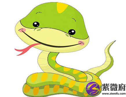 属蛇人本命年需要注意什么
