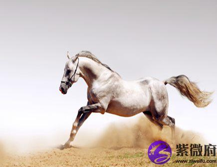 属马人本命年需要注意什么