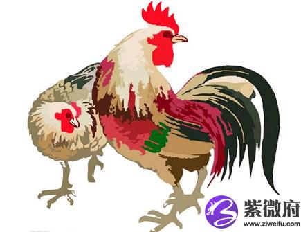 属鸡的吉祥物是什么