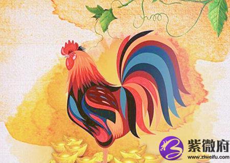 属鸡女孩最吉利的名字