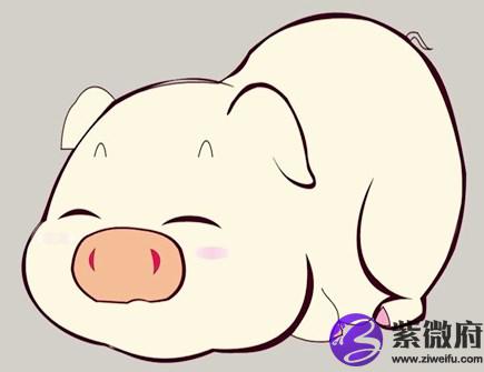 属猪人一生的健康状况