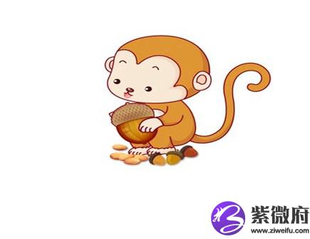属猴人一生的健康状况