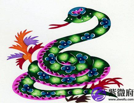 属蛇今年健康运如何