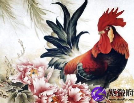 属鸡今年健康运如何
