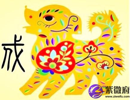 属狗今年健康运如何