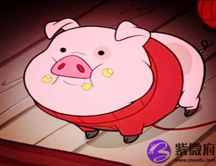 属猪今年健康运如何