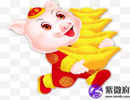 生肖猪不能配什么生肖