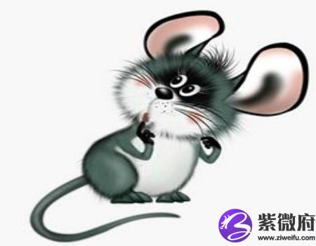 属鼠今年健康运如何