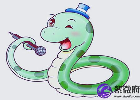 属蛇办公室放什么植物旺财