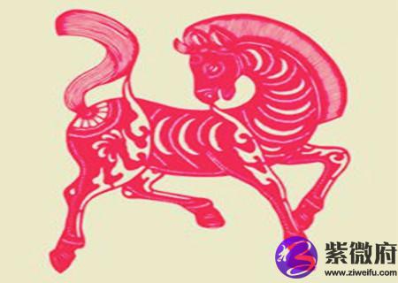 属马办公室放什么植物旺财