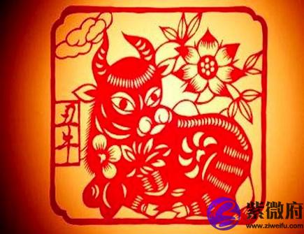 属牛今年健康运如何