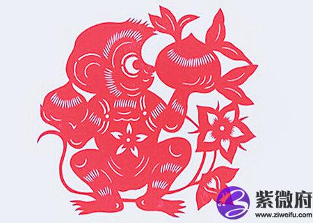 属猴办公室放什么植物旺财