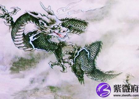 属龙办公室放什么植物旺财