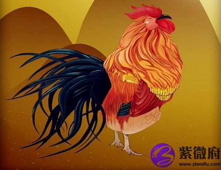 生肖鸡不能配什么生肖