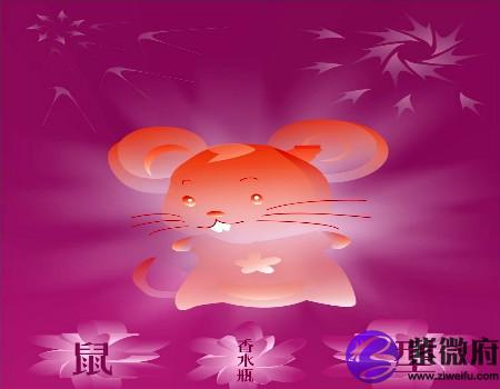 生肖鼠不能配什么生肖