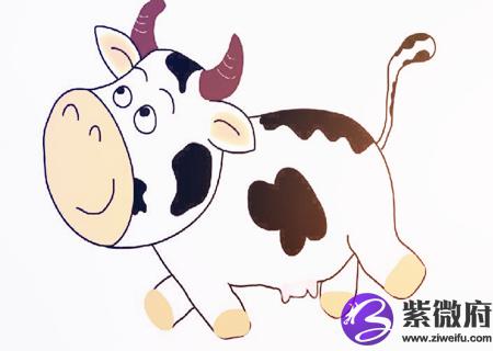 属牛办公室放什么植物旺财
