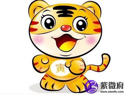 生肖虎不能配什么生肖