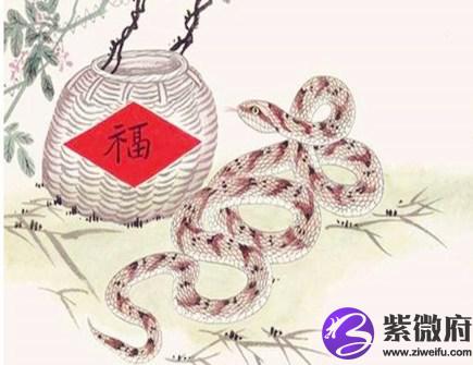 生肖蛇哪年有横财