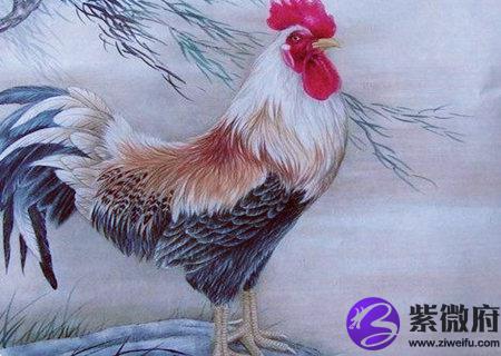 属鸡的家里挂什么画好