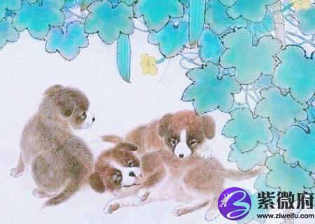 属狗的家里挂什么画好