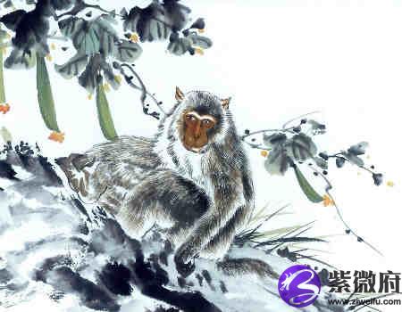 生肖猴哪年有横财