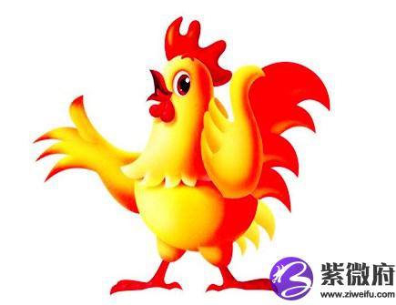 生肖鸡哪年有横财