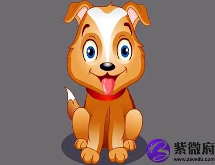 生肖狗哪年有横财