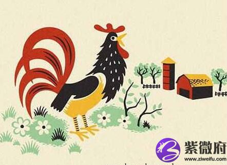 属鸡人命好不好