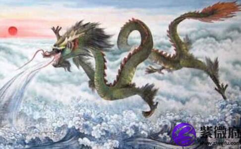 属龙人命好不好
