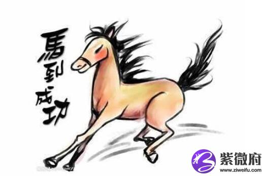 属马的人命好不好