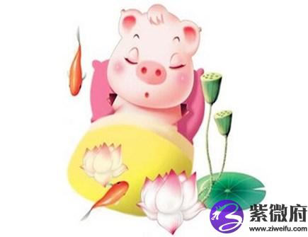 属猪男人婚姻与命运
