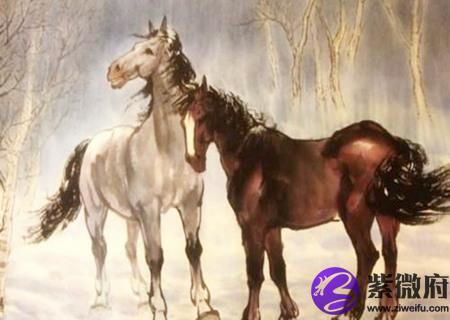 属马的家里挂什么画好