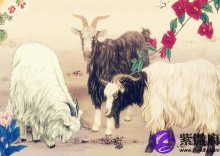 属羊的家里挂什么画好