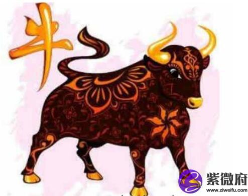 属牛的人命好不好