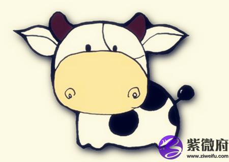 属牛的家里挂什么画好