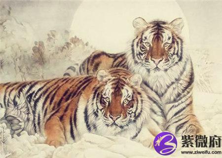 属虎的家里挂什么画好